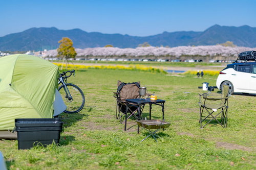 桜並木を背景にした直方市オートキャンプ場でのテント設営