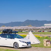 遠賀川河川敷の桜並木と直方オートキャンプ場のテント設営の写真