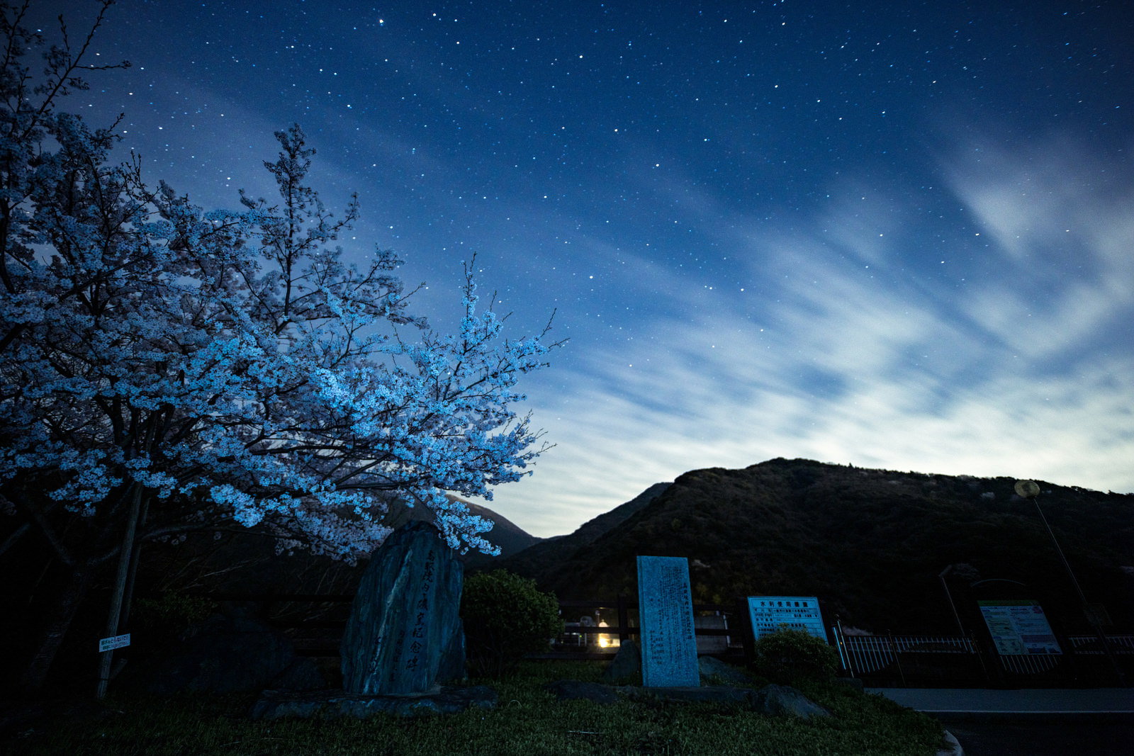 福智山ダム近くの夜桜と星空
