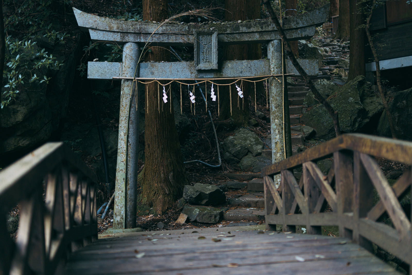 森の中にある龍王神社の鳥居と木製の橋、石段が続く参道