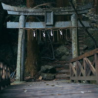 龍王神社の赤い鳥居と石段参道、木製の橋（龍王峡）の写真