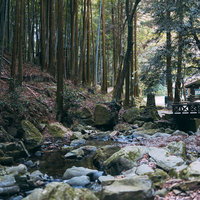 直方市の竜王峡に流れる苔むした岩と小川の渓流風景の写真