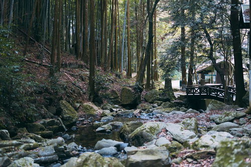 直方市の竜王峡に流れる苔むした岩と小川の渓流風景