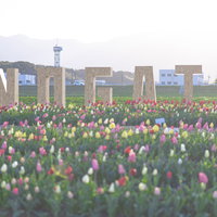 NOGATA（のおがたチューリップフェア2022）の写真