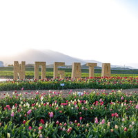 直方市NOGATAのチューリップフェア会場の写真