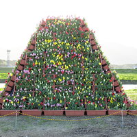 のおがたチューリップフェアのチューリップタワーの写真