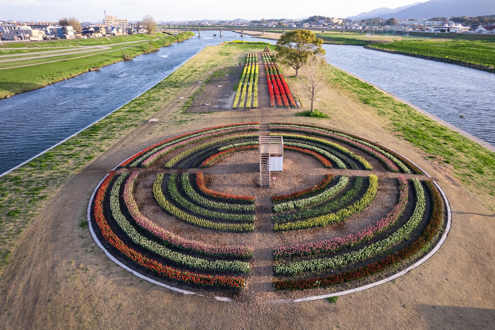 チューリップの円形花壇に建つ見晴台から周囲の風景を見晴らす