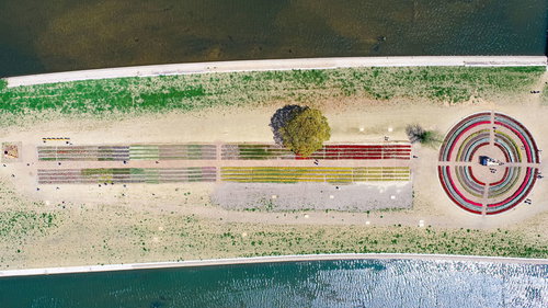 直方チューリップフェアの満開チューリップが彩る円形花壇全景