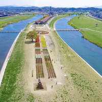 遠賀川と彦山川が合流する河川敷とチューリップフェア2022の写真