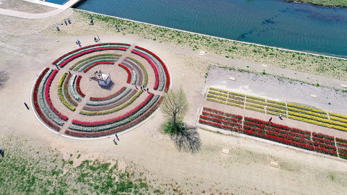 直方市のチューリップフェアで円形花壇に集まる人々