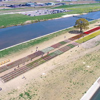 直方チューリップフェア2022の満開チューリップを上空から捉えた航空の写真