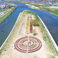 ドローンで撮影したのおがたチューリップフェア2022の写真