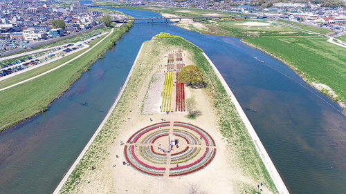 ドローンで撮影したのおがたチューリップフェア2022