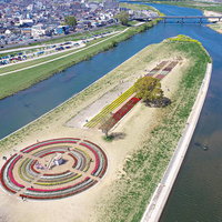 ドローンで上空から撮影したチューリップフェア2022の様子の写真