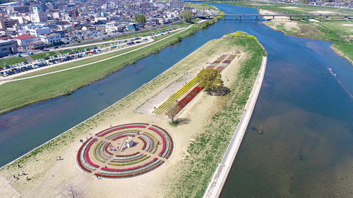 ドローンで上空から撮影したチューリップフェア2022の様子