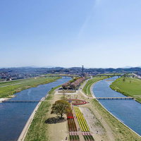 福岡県直方市のチューリップフェア、遠賀川と彦山川の合流する河川敷の写真