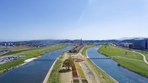 福岡県直方市のチューリップフェア、遠賀川と彦山川の合流する河川敷