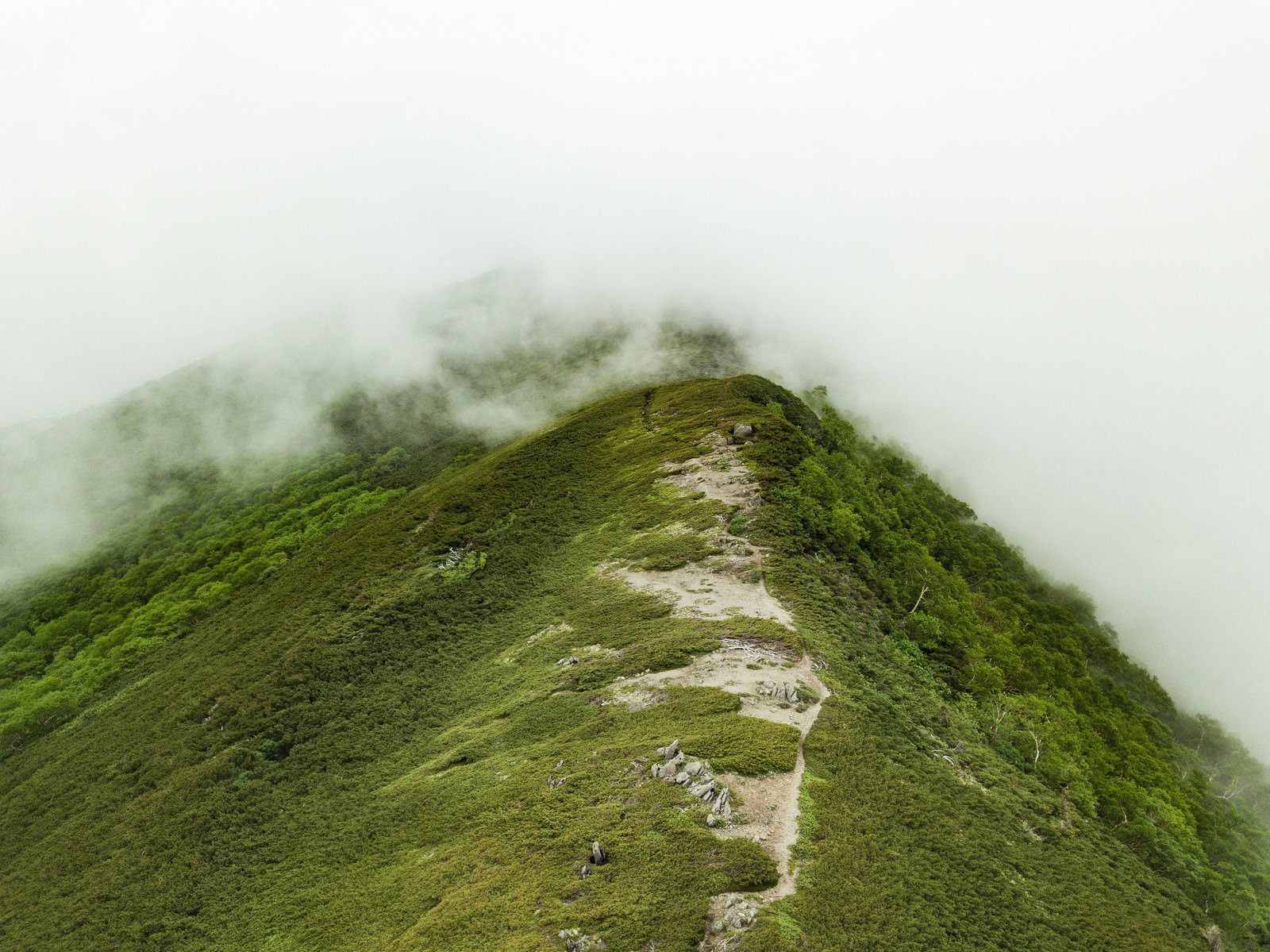 乗鞍新登山道から望む山並みと谷の風景