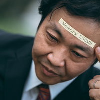 記憶にございません（Memory 256MB）の写真