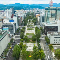 俯瞰して見る札幌大通りの街並みと大通公園の写真
