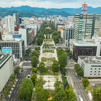 札幌の中心に位置する札幌大通りと大通公園の都市景観の写真