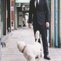 プロレタリアート乙！ワンワンワワーンの写真