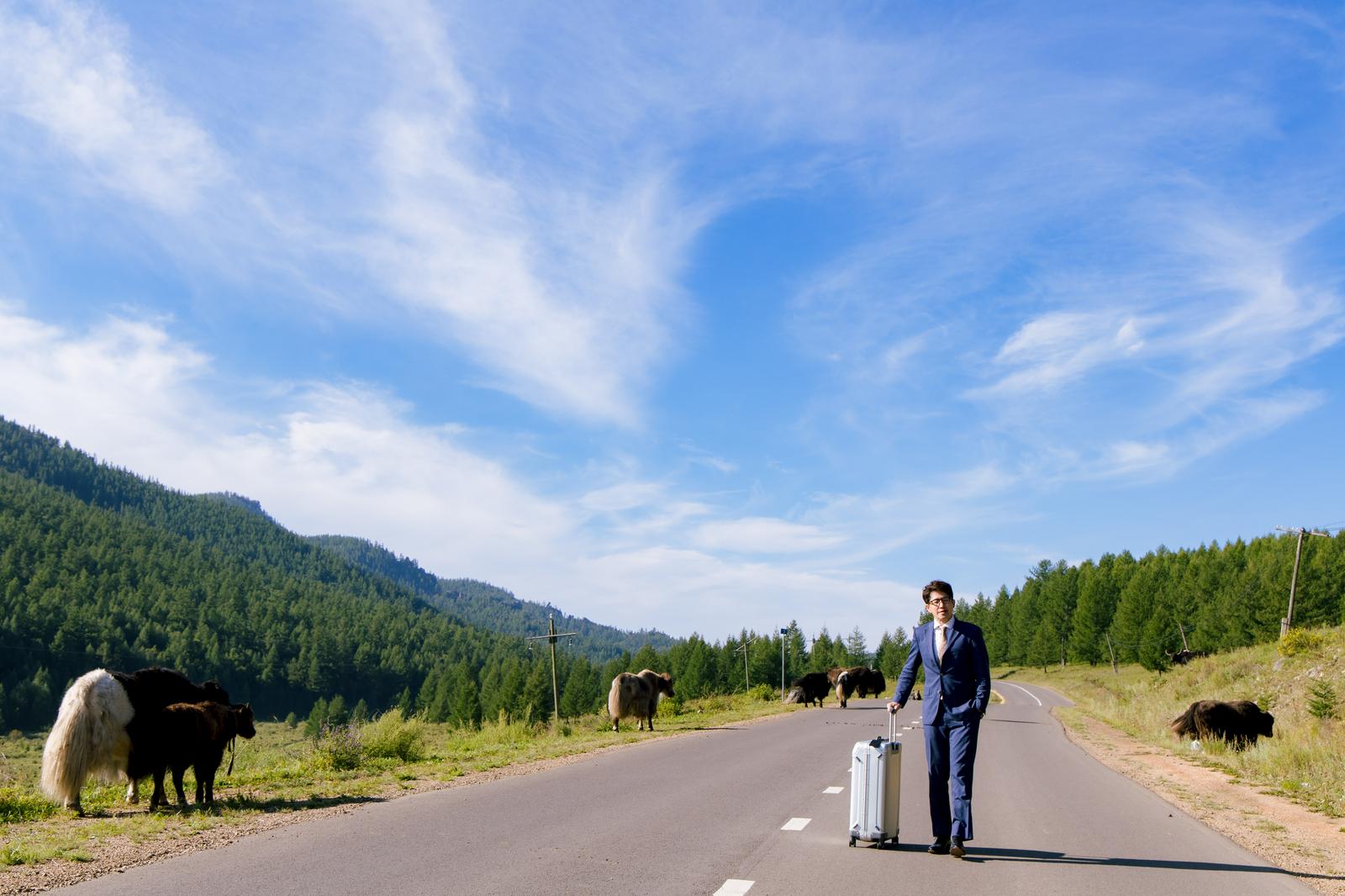 モンゴルの草原の道でキャリーバッグを引くスーツ姿の男性と放牧動物［モデル：野崎繁裕］