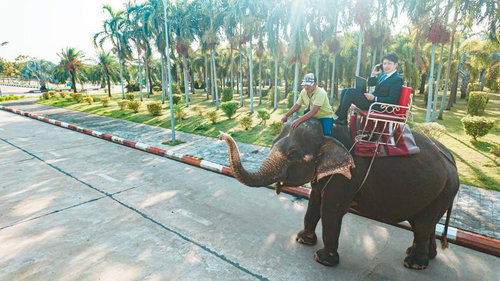 代車が像だったんで遅れます！