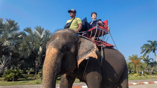 象に座っているというより、椅子に座っているという感覚を大事にしていきたいですね。