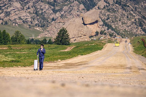 ゴルヒ・テレルジ国立公園の亀石前の荒れた道でスーツケースを引くビジネスマン