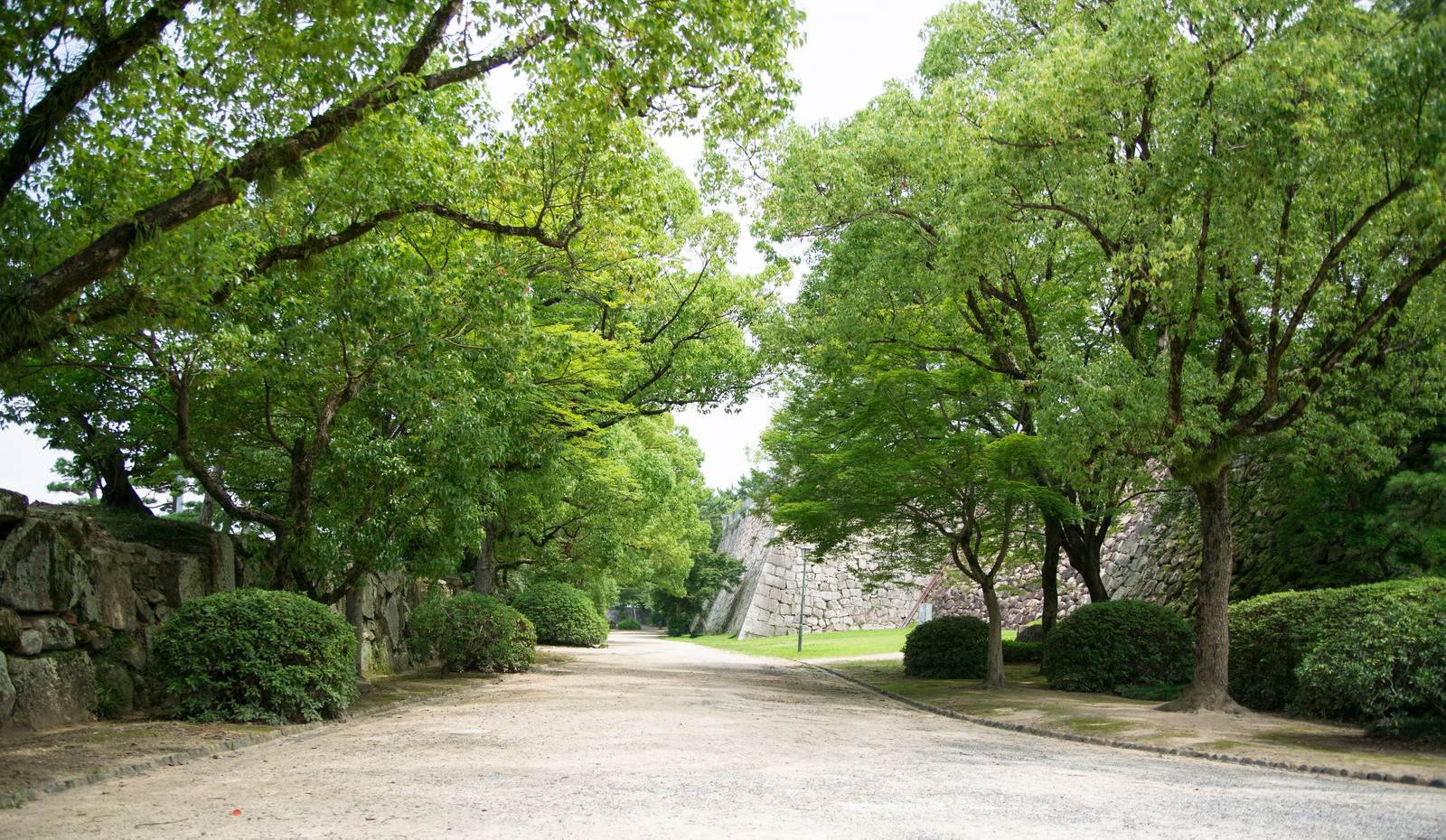 岡山城の石垣沿いの砂利道と両脇に並ぶ木々