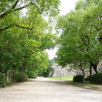 岡山城の石垣沿いに続く木々に覆われた脇道の写真