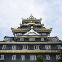 漆黒の城、岡山城の天守閣の写真