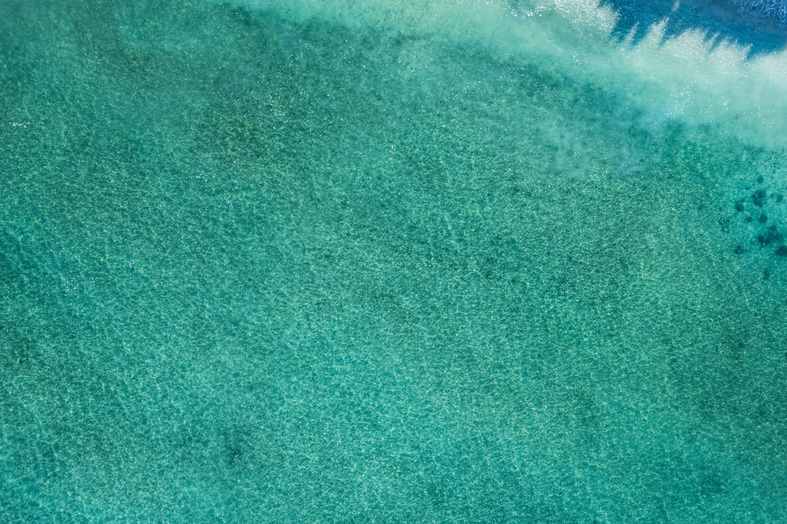 真上から見た浅い海と波打ち際