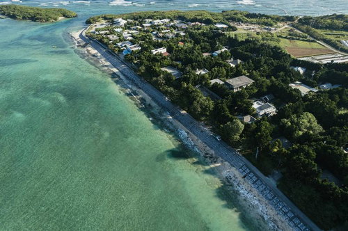 沖縄備瀬集落のフクギ並木を上空から撮影した風景