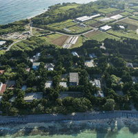 沖縄の備瀬集落をドローン撮影、フクギ並木と海岸線の写真