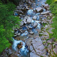 岡山県・名勝奥津渓の新緑と清流を映す空撮の写真