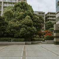 高層ビルに囲まれた緑豊かな広場（チラリ）の写真