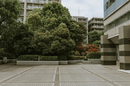 高層ビルに囲まれた緑豊かな広場（チラリ）