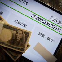 クライミングローズ（コクテール）がトレリスに咲き誇るの写真