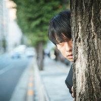 決定的瞬間を目撃した名探偵、街路樹の陰から張り込みの写真