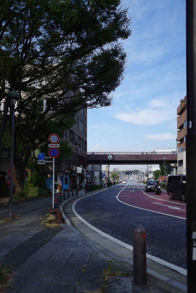 青空の下、街路樹に囲まれた大さん橋前の道路と歩道