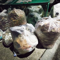 深夜のゴミ捨て場のビニール袋と緑色コンテナの写真