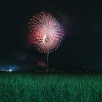田んぼのど真ん中で打ち上げられた花火大会の夜空の写真