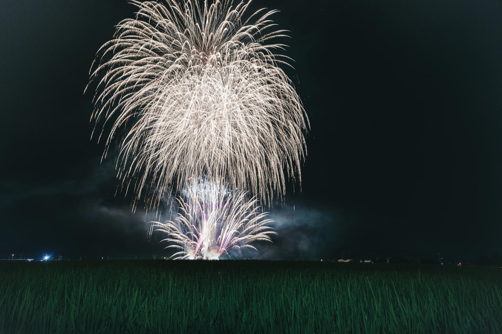 福島県大玉村の田んぼ上空で打ち上がった大きな花火が白く炸裂している夜間の写真