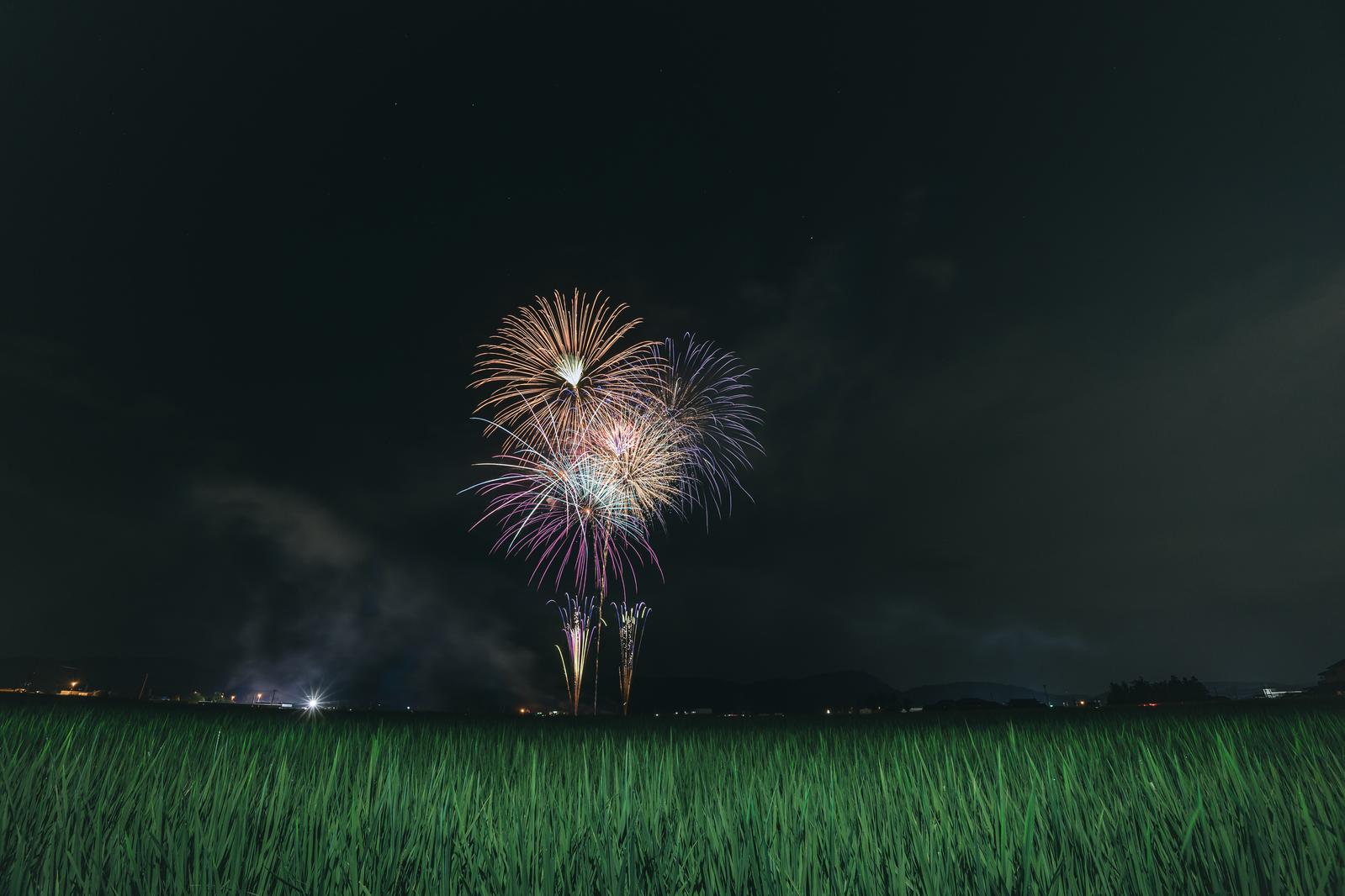 福島県の田んぼを背景に打ち上げられた色とりどりの花火が夜空で炸裂している