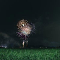 福島・大玉村の田んぼを照らす夏祭りの打ち上げ花火の写真