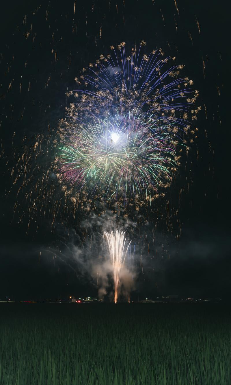 福島県大玉村の田んぼの上空で炸裂する青紫色と金色の大輪花火