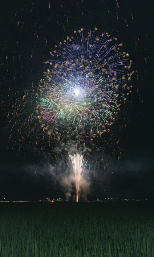 大玉夏祭りの花火大会、田んぼから望む打ち上げ花火