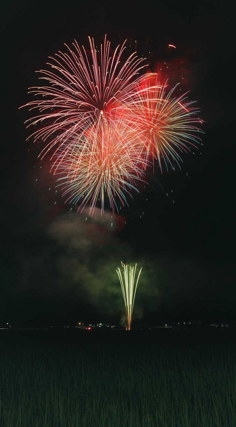 夜空に赤と黄色の大輪の花火が炸裂し、下の田んぼを照らしている